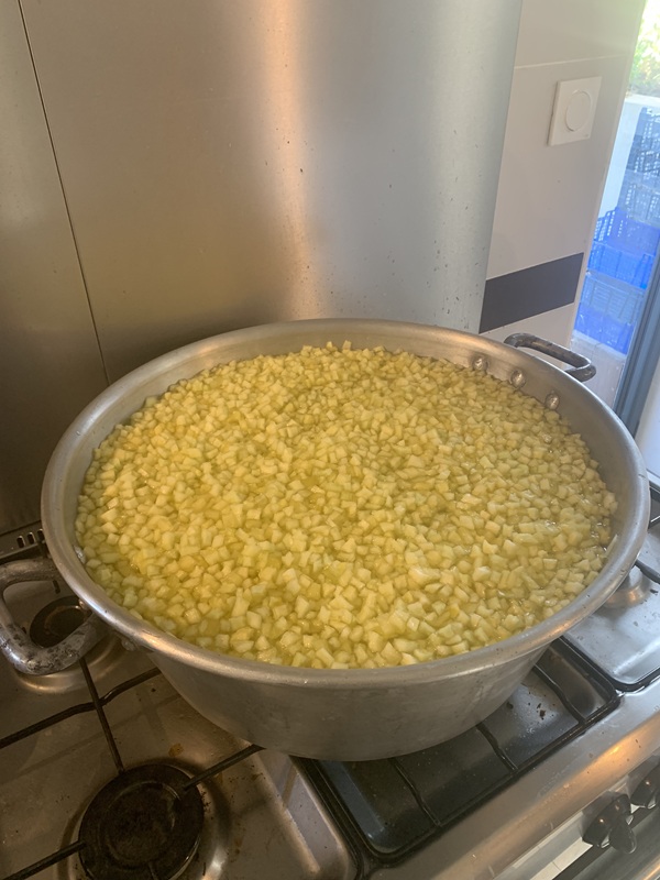 Cuisson du Melon d'Espagne
