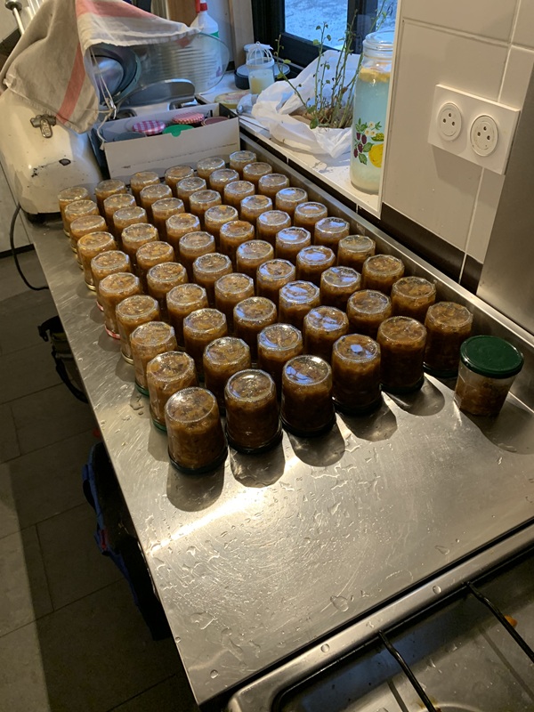 Mise en Pot du Melon d'Espagne